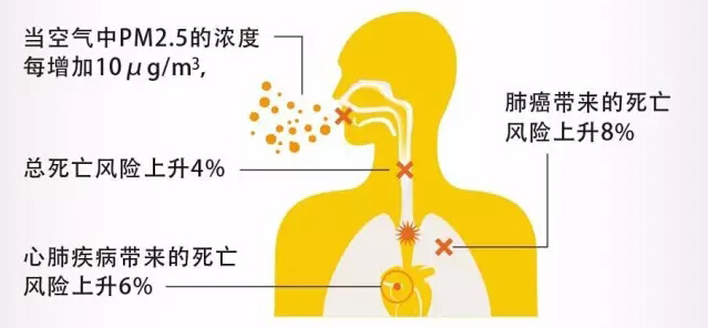 空氣淨化