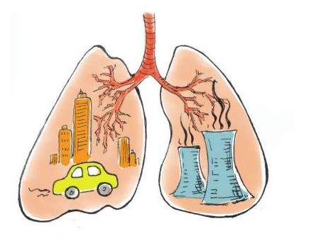粉塵淨化器——肺部